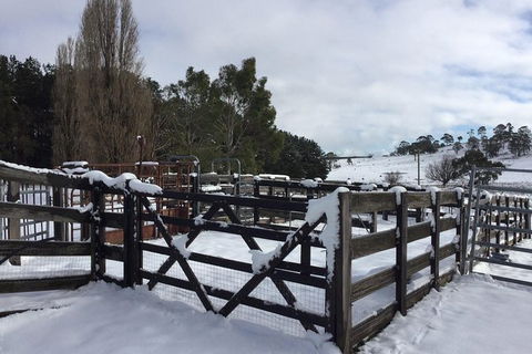 Paddock To Plate Farm Tour And Tasting - Darwin Holiday 11