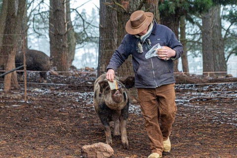 Paddock To Plate Farm Tour And Tasting - Darwin Holiday 5