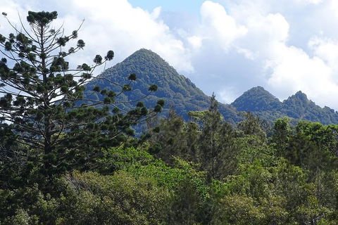 Byron Bay Rainforest Eco-Cruise - Darwin Holiday 3