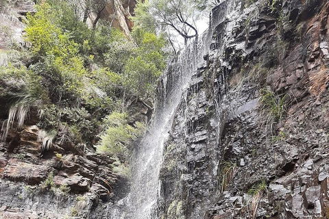 Blue Mountains Full Day Nature Tour For Four - Darwin Holiday 1