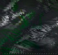 VR Escape Room - Beyond Medusas Gate Set in Assassins Creed Odyssey - Darwin Holiday