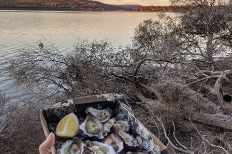 Boat Hire Experience On Wonboyn Lake - Half Day - Darwin Holiday 2