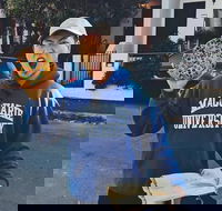 Cake and pastry walking tour - Sydney - Darwin Holiday