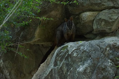 From The Mountains To The Bay - 4 Day Rediscovery Private Tour - Darwin Holiday 17