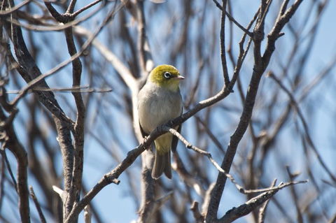 From The Mountains To The Bay - 4 Day Rediscovery Private Tour - Darwin Holiday 11