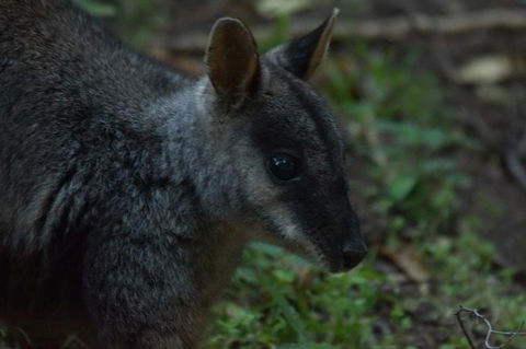 From The Mountains To The Bay - 4 Day Rediscovery Private Tour - Darwin Holiday 3