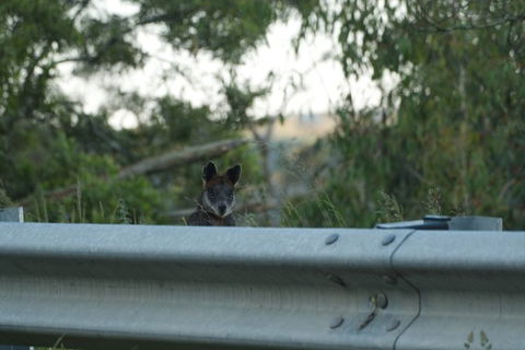 From The Mountains To The Bay - 4 Day Rediscovery Private Tour - Darwin Holiday 13