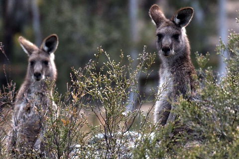 From The Mountains To The Bay - 4 Day Rediscovery Small Group Tour - Darwin Holiday 11