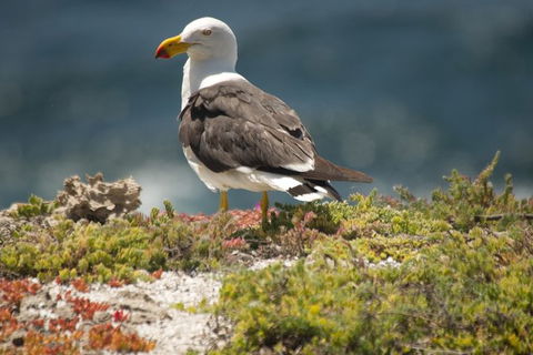 From The Mountains To The Bay - 4 Day Rediscovery Small Group Tour - Darwin Holiday 5