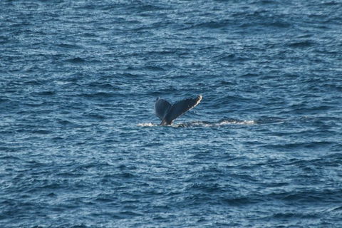 From The Mountains To The Bay - 4 Day Rediscovery Small Group Tour - Darwin Holiday 8