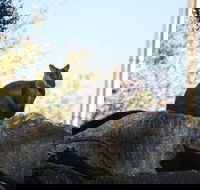 From the Mountains to the Bay - 4 Day Rediscovery Small Group Tour - Darwin Holiday