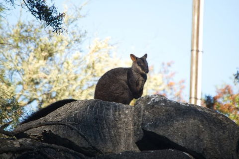From The Mountains To The Bay - 4 Day Rediscovery Small Group Tour - Darwin Holiday 0