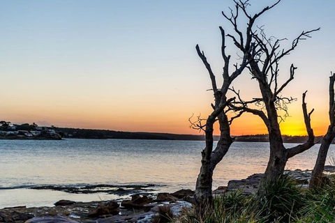 Full-Day Kiama Coast And The Royal National Park Guided Tour - Darwin Holiday 0