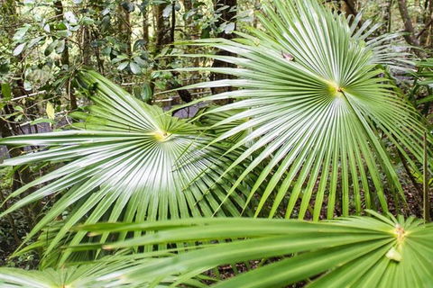 Full-Day Kiama Coast And The Royal National Park Guided Tour - Darwin Holiday 4