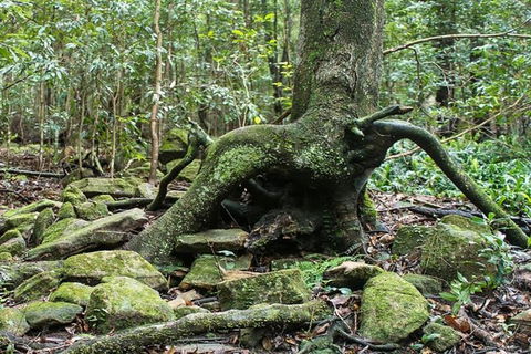 Full-Day Kiama Coast And The Royal National Park Guided Tour - Darwin Holiday 1