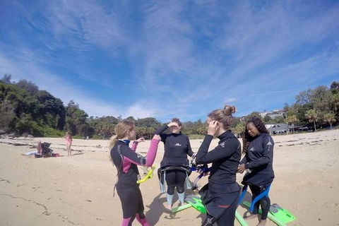 Manly And Shelly Beach Snorkeling Tour - Darwin Holiday 2