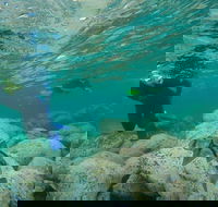 Manly and Shelly Beach Snorkeling Tour - Darwin Holiday