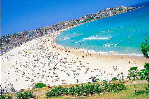 Half-Day Walking Tour In Sydney - Darwin Holiday 3