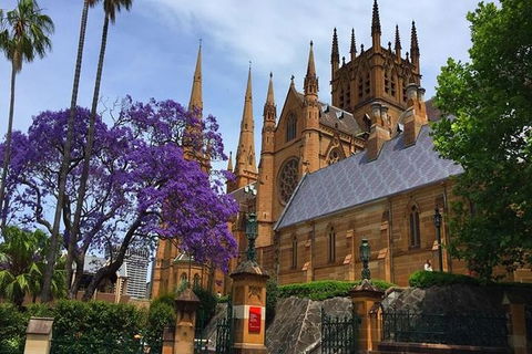 Half-Day Walking Tour In Sydney - Darwin Holiday 4