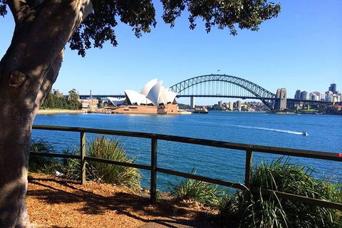Half-Day Walking Tour In Sydney - Darwin Holiday 0