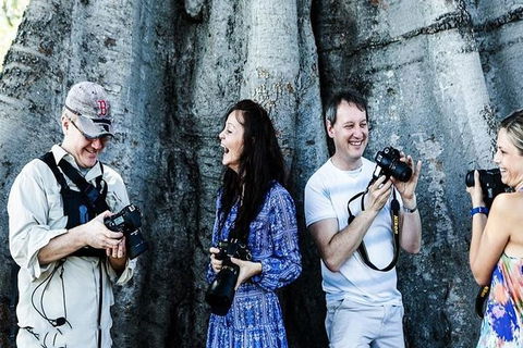 Sydney Travel Morning Photography Tour - Darwin Holiday 5