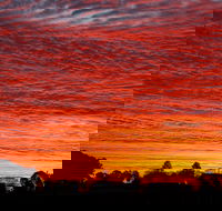 Private Full-Day Wine Tour in Hunter Valley - Darwin Holiday