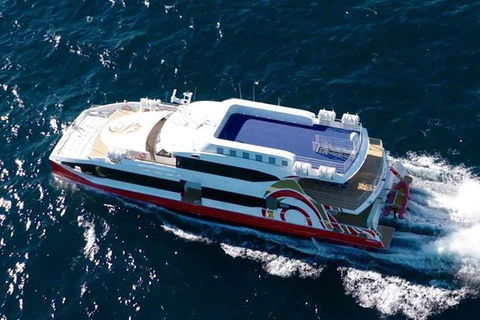 Full-Day Blue Mountains Small-Group Tour With River Cruise - Darwin Holiday 4