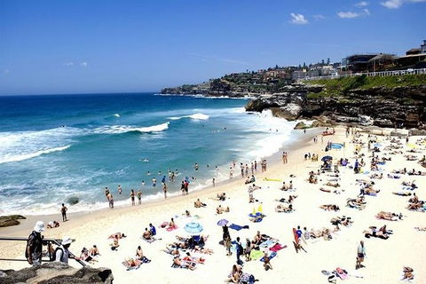 Sydney Bondi Beach And Watsons Bay Half-Day Tour - Darwin Holiday 1