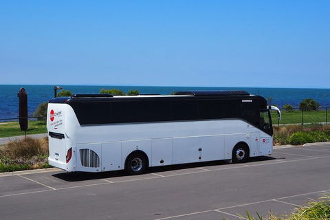Private 13 Seat Mini Bus CBD To Sydney Airport Transfer - Darwin Holiday 3
