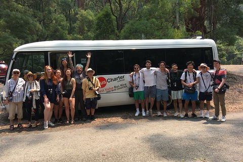 Private 13 Seat Mini Bus Sydney CBD To BankWest Stadium Transfer - Darwin Holiday 4