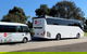 Private 13 Seat Mini Bus Sydney CBD To Taronga Zoo Transfer - thumb 2