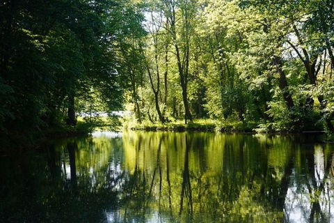 Small-Group Kayaking Experience In Sydney - Darwin Holiday 7