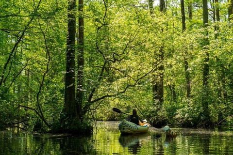 Small-Group Kayaking Experience In Sydney - Darwin Holiday 3