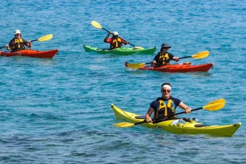 Small-Group Kayaking Experience In Sydney - Darwin Holiday 6