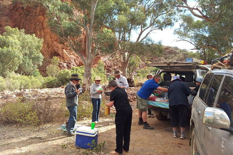 12-Day Outback 4WD Tour Of New South Wales Far West - Darwin Holiday 6