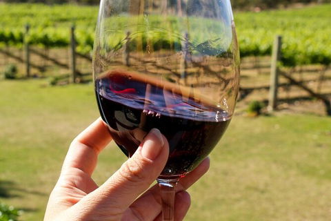 Wine Tasting In Canberra Region - Darwin Holiday 0