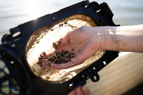 Oyster Farm Tour- Hawkesbury River (1hr North Of Sydney). - Darwin Holiday 5