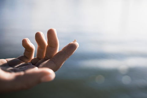 Oyster Farm Tour- Hawkesbury River (1hr North Of Sydney). - Darwin Holiday 2