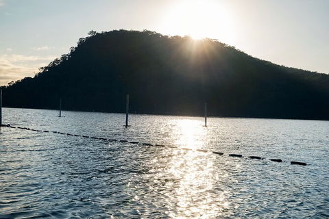 Oyster Farm Tour- Hawkesbury River (1hr North Of Sydney). - Darwin Holiday 4