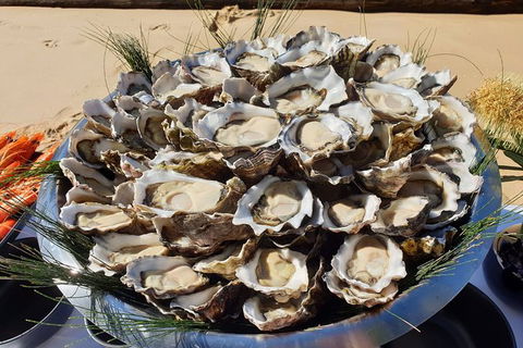 Sydney Oyster Farm Tour And Seafood Lunch On A Secluded Beach - Darwin Holiday 5