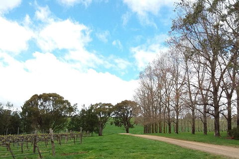 All-inclusive Morning Wine Tour In Orange - Darwin Holiday 8