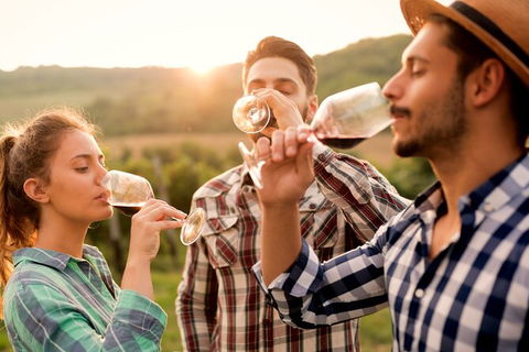 All-inclusive Morning Wine Tour In Orange - Darwin Holiday 0