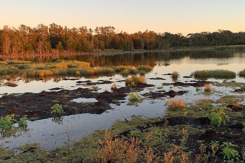 Small-Group Half-Day Birdwatching Tour In Sydney - Darwin Holiday 8