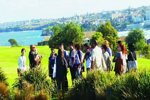 Private Walangari\'s Aboriginal Walking Tour In Bondi Beach - Darwin Holiday 1