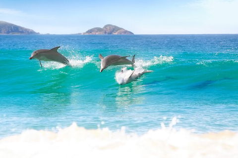 Tea Gardens And Hawks Nest Beach Bus Guided Tour - Darwin Holiday 7