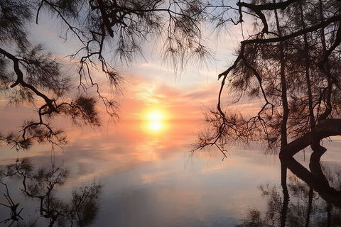Tea Gardens And Hawks Nest Beach Bus Guided Tour - Darwin Holiday 8