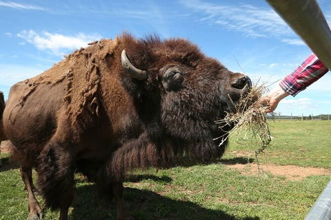 Tea Gardens And Hawks Nest Beach Bus Guided Tour - Darwin Holiday 10