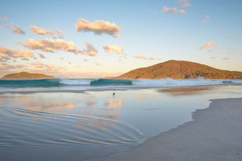 Tea Gardens And Hawks Nest Beach Bus Guided Tour - Darwin Holiday 11