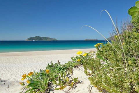 Tea Gardens And Hawks Nest Beach Bus Guided Tour - Darwin Holiday 0