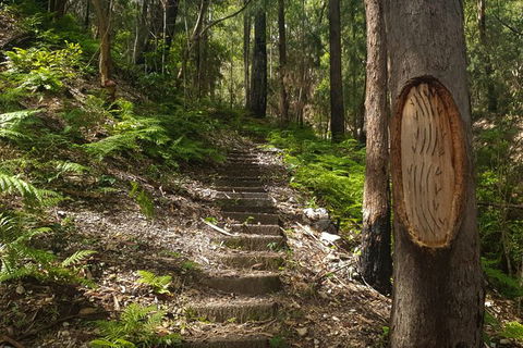 Tea Gardens And Hawks Nest Beach Bus Guided Tour - Darwin Holiday 9